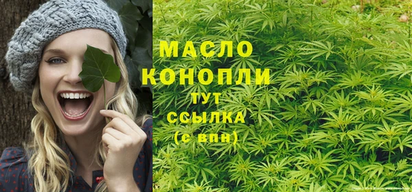 МДПВ Богородск