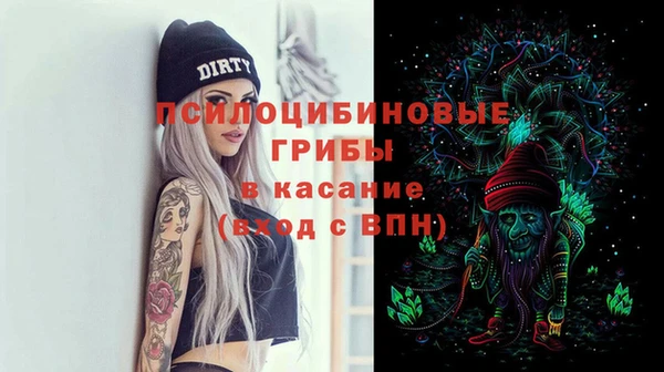 СК Богородицк