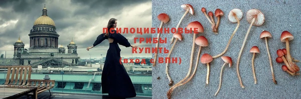 МДПВ Богородск