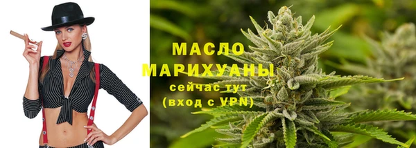МДПВ Богородск