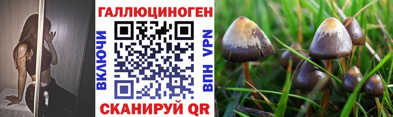 Галлюциногенные грибы ЛСД  хочу   Монино 